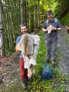 ARGE Schutzwaldtagung SGFV 2024 Exkursion Wolf im Taminatal Martin Allemann (11).jpg
